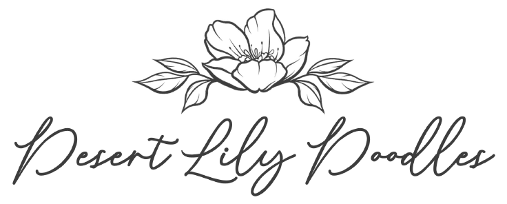 Desert Lily Doodles | Arizona Sheepadoodle Puppies